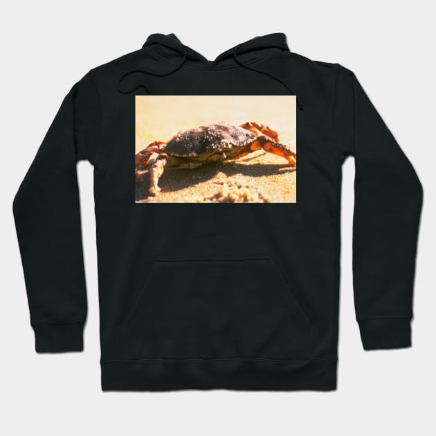 Crab on The Beach Photograph Hoodie by Bravuramedia